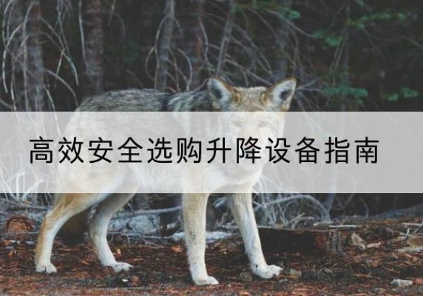 昌图升降货梯厂家推荐-*安全选购升降设备指南