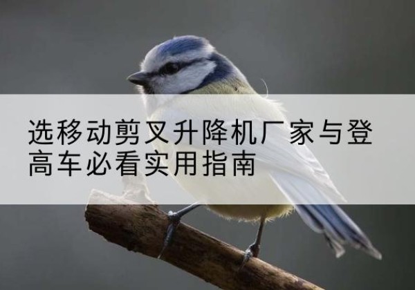 昌图电动升降机厂家-选移动剪叉升降机厂家与登高车必看实用指南